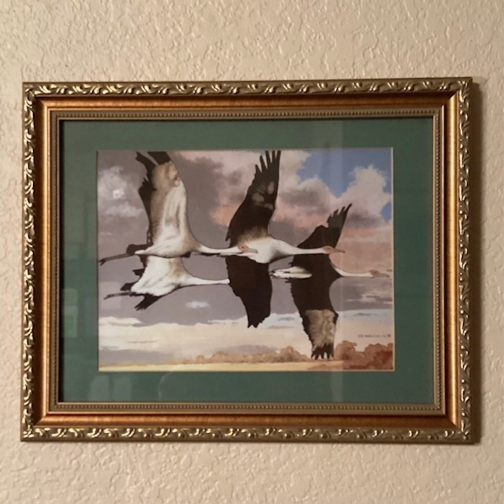 Waterfowl in Flight Framed Art Print 2008‎ Signed G. Kallio 12x15